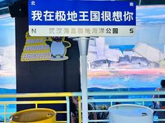 -海合安武汉极地海洋公园