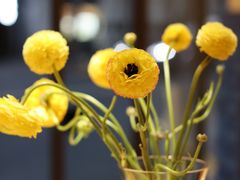 -Onirii Coffee(长乐路店)