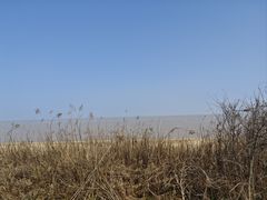 -平湖九龙山旅游度假区