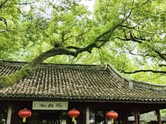 -上海醉白池公园