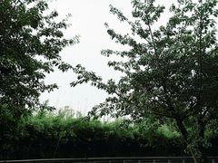 -沐仙湖湿地公园