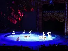 -珠海横琴长隆《卡卡虎奇遇记》