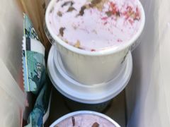 -雾与山茶(大禹城店)