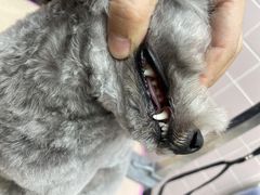 -FAELING PETS美天灵宠物(富力广场店)