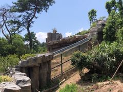 -宁波野生动物园