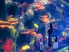 -成都浩海立方海洋公园