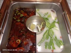 红汤梭边鱼锅-新辣道鱼火锅(国瑞城店)