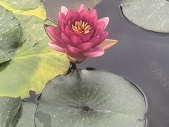 -伊帆食府·青海地方特色美食