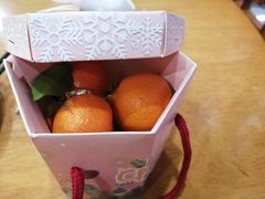 -功夫兔