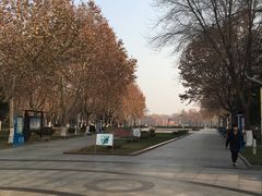 -裕华世纪公园