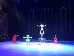 -重庆国际马戏城