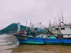 -沈家门渔港