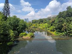 -云溪植物园