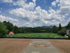 -清漾毛氏文化村