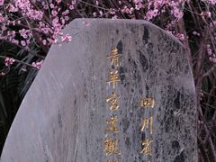 -青羊宫