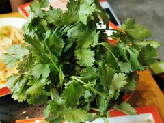 香菜-潘小辣鲜肉老火锅