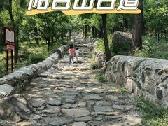 -阳台山自然风景区