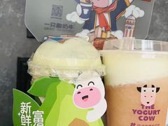 -一只酸奶牛(八一路店)