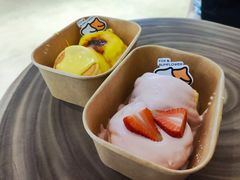-狐狸和向日葵(北京路店)