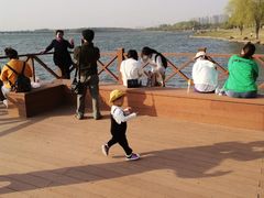 -丁香湖公园