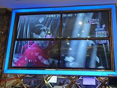 -糖果量贩式KTV(象湖店)