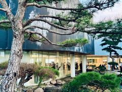 -罗红摄影艺术馆