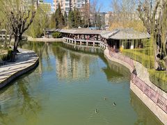 -团结湖公园