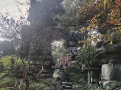 -南山植物园