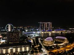 -新加坡瑞士史丹福酒店