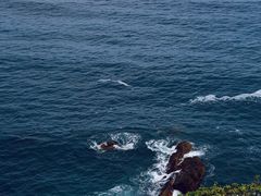 -美人鱼悬崖海景餐厅(鹿嘴山庄店)
