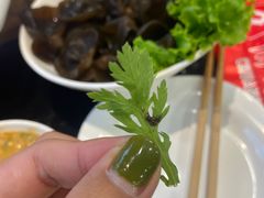 -川蜀久香重庆火锅店(地工路店)