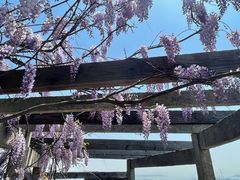 -缥缈峰景区