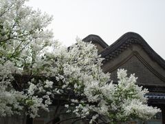 -颐和园
