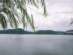 -水濂山水库景点停车场