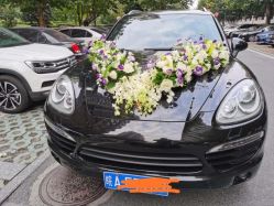-蚂蚁婚车