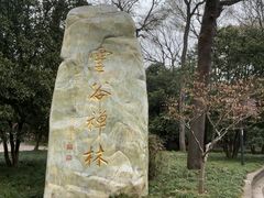 -灵谷景区