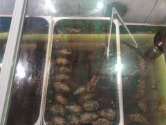 -鸿运兔·手撕烤兔(天府广场店)