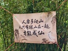 -广州白江湖森林公园