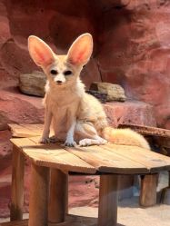 -Zoolung Zoolung动物主题公园(海信广场店)