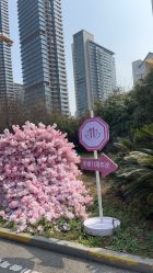 -禾丽康美医疗美容医院