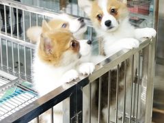 -山东柏宁水族批发广场