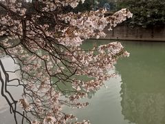 -红星桥(地铁站)