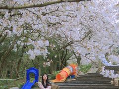 -杭州少年儿童公园