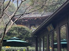 -十八棵（老龙井）御茶园(老龙井店)