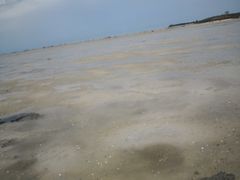 -红树林天天赶海