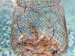 -嘻虾·钓虾工场(东莞总店)