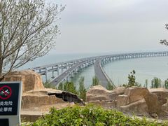 -星海湾跨海大桥