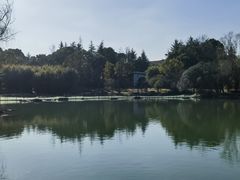 -苏州金鸡湖大酒店