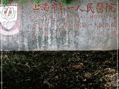 -上海市第一人民医院(松江南部)