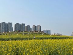 -光明小镇欢乐田园
